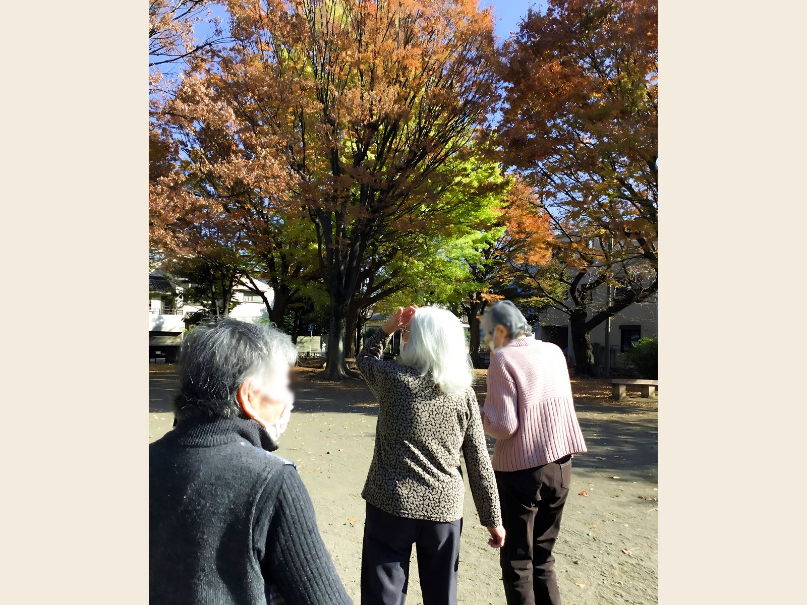 アクティビティ（歩こうクラブ）