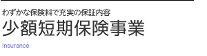 わずかな保険料で充実の保証内容。　少額短期保険事業